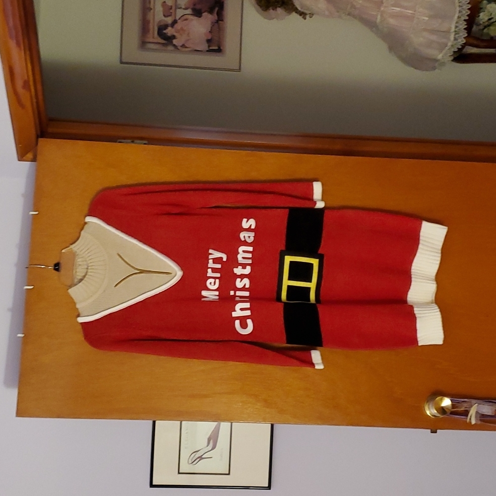 Mrs. Santa Claus dress